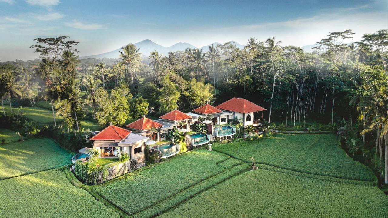 D'Bale Ananda Ubud Villa Ubud (Bali) Exterior photo